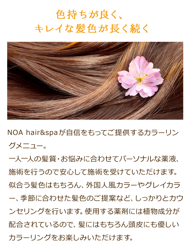 DONNA草津店が自信をもってご提供するカラーリングメニュー。一人一人の髪質・お悩みに合わせてパーソナルな薬液、施術を行うので安心して施術を受けていただけます。似合う髪色はもちろん、グレイカラー、季節に合わせた髪色のご提案など、しっかりとカウンセリングを行います。使用する薬剤には植物成分が２０種類配合されているので、髪にはもちろん頭皮にも優しいカラーリングをお楽しみいただけます。
