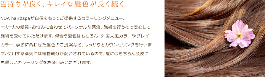 DONNA草津店が自信をもってご提供するカラーリングメニュー。一人一人の髪質・お悩みに合わせてパーソナルな薬液、施術を行うので安心して施術を受けていただけます。似合う髪色はもちろん、グレイカラー、季節に合わせた髪色のご提案など、しっかりとカウンセリングを行います。使用する薬剤には植物成分が２０種類配合されているので、髪にはもちろん頭皮にも優しいカラーリングをお楽しみいただけます。